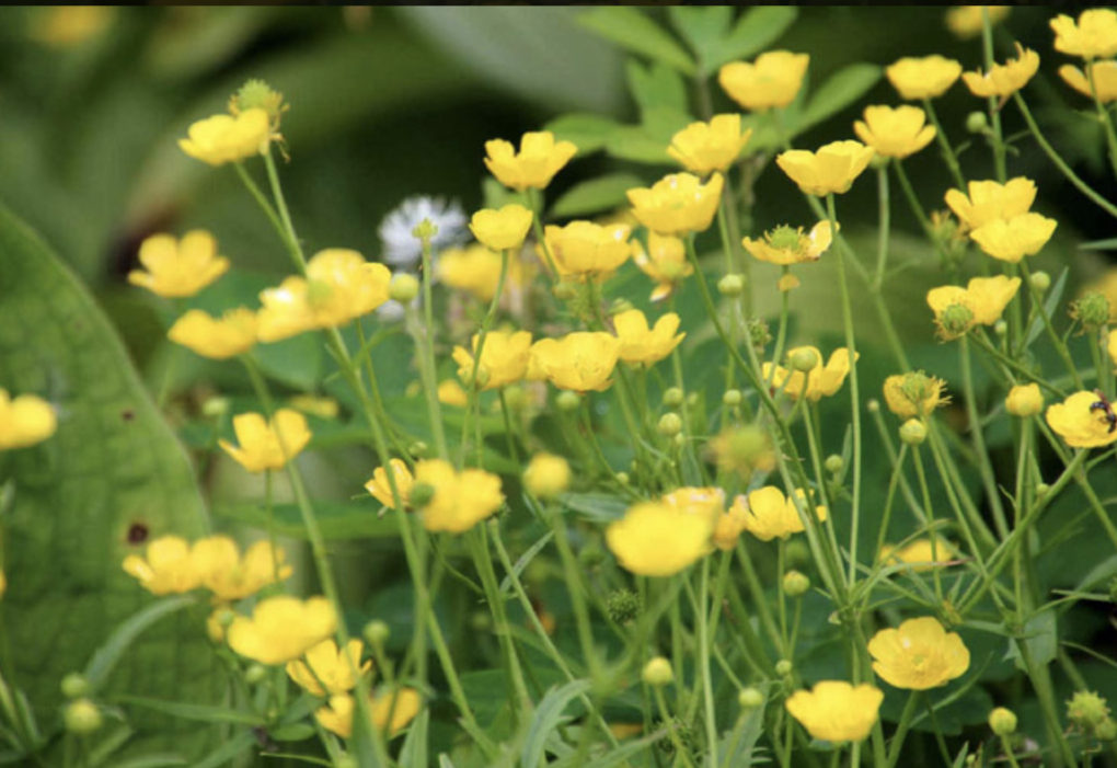 どのような症状がありますか?